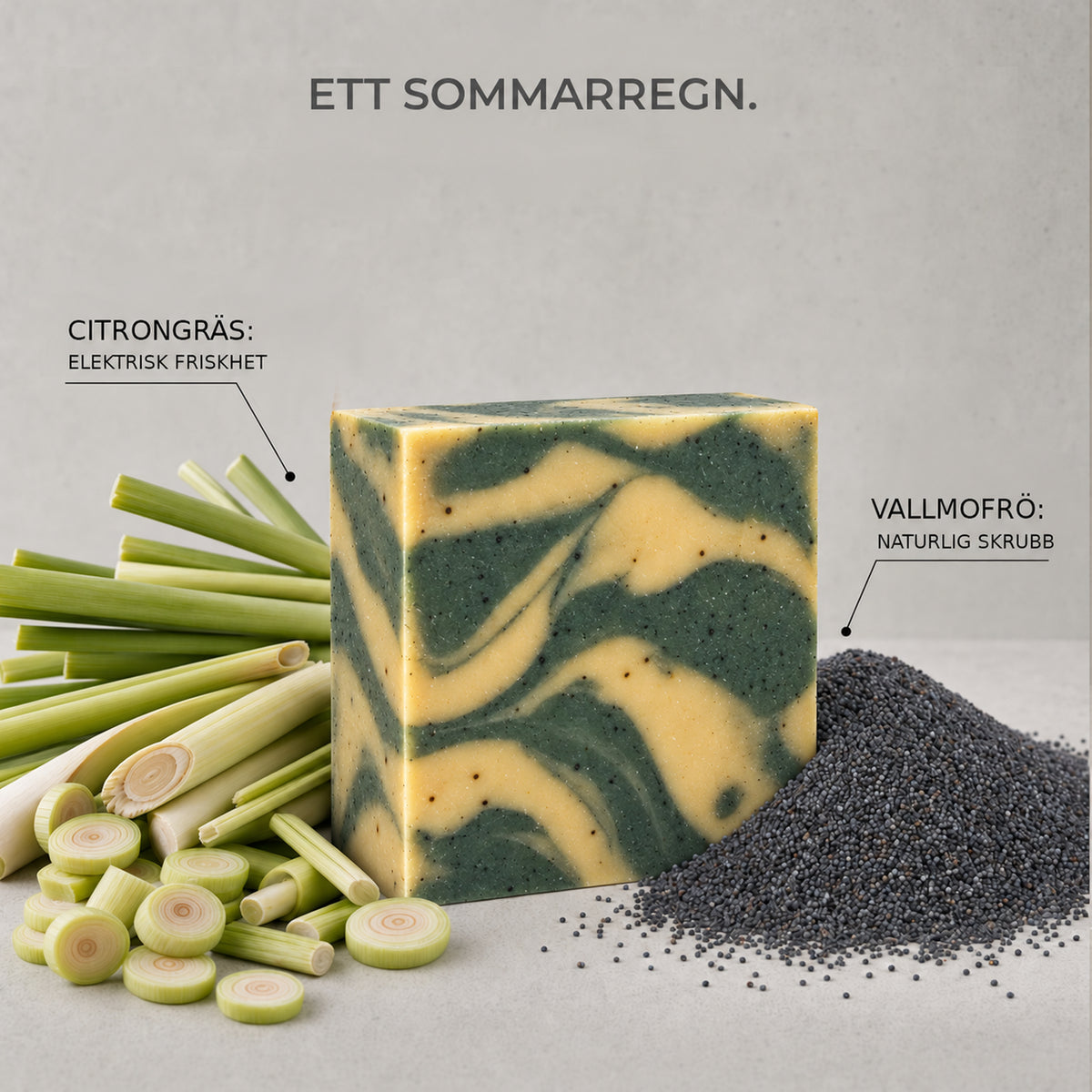 ETT SOMMARREGN